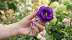 Deze kleur bestaat eigenlijk niet — je hersenen hebben hem verzonnen